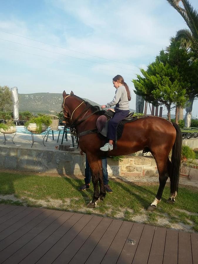 Ariadnes Holiday Accommodation Apidias Lakos ภายนอก รูปภาพ